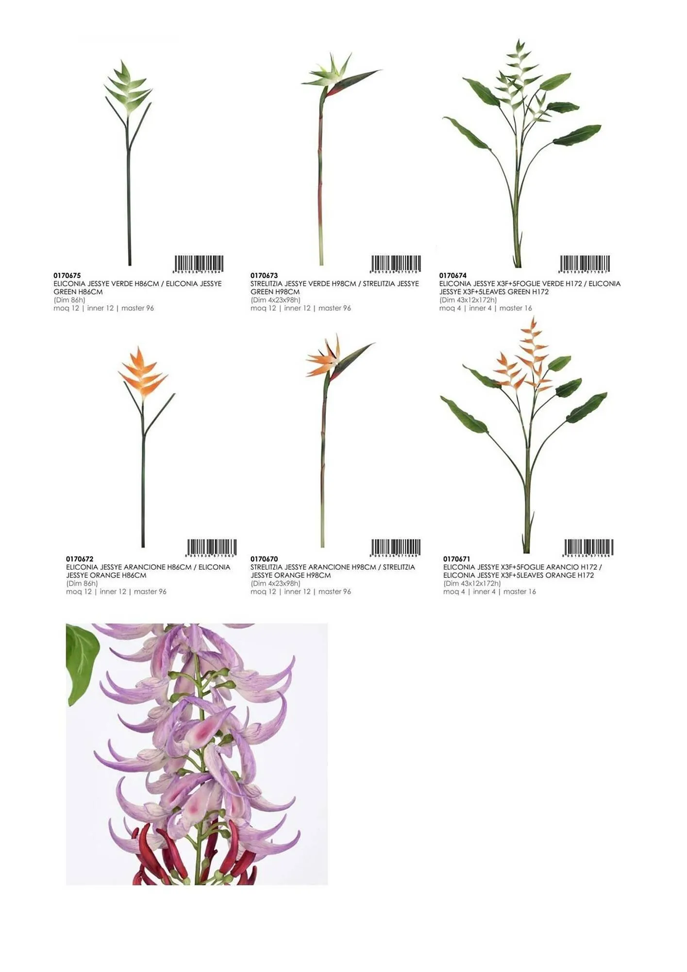 Volantino Bizzotto da 21 gennaio a 31 dicembre di 2025 - Pagina del volantino 183