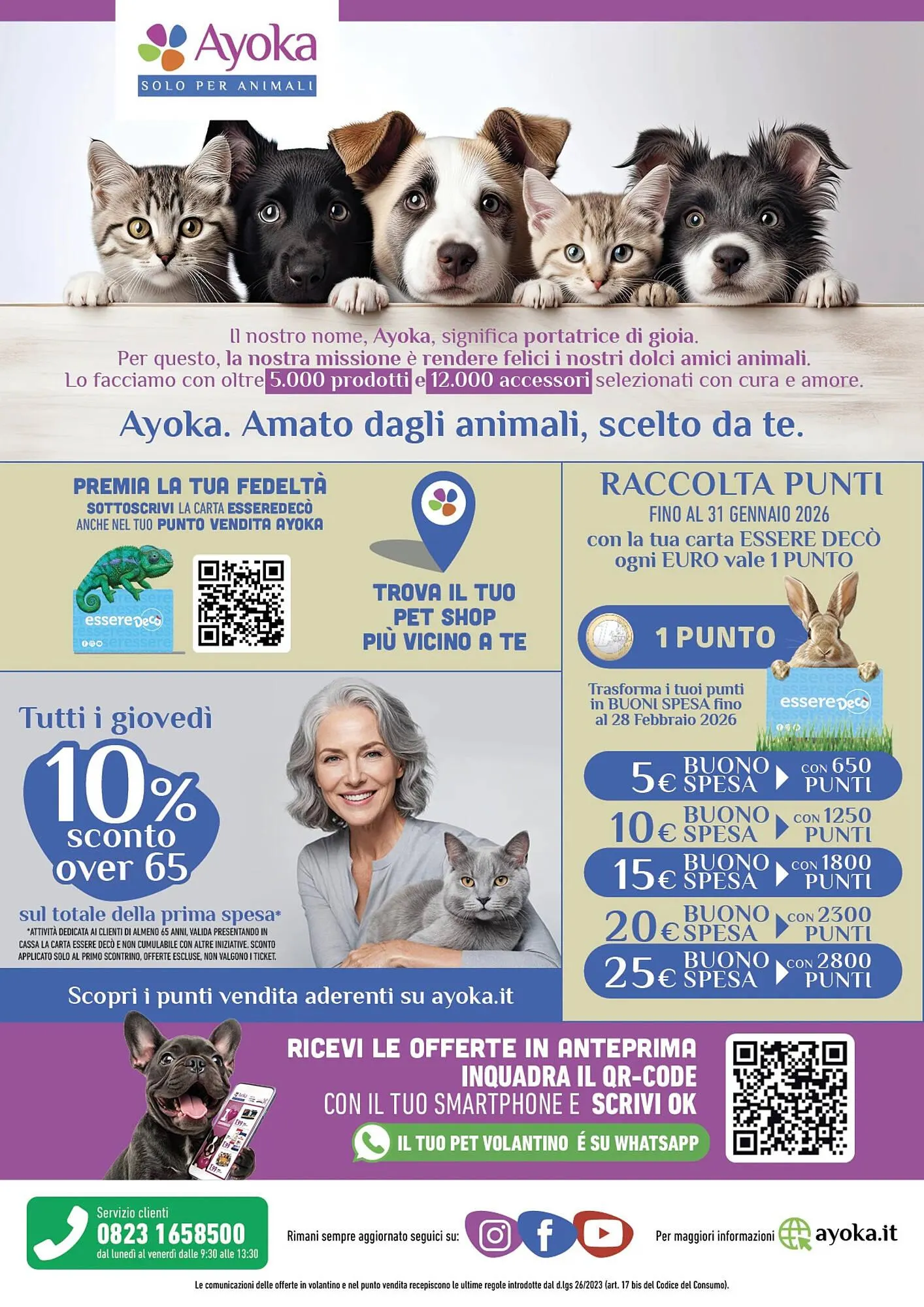 Volantino Ayoka da 5 novembre a 23 novembre di 2025 - Pagina del volantino 8