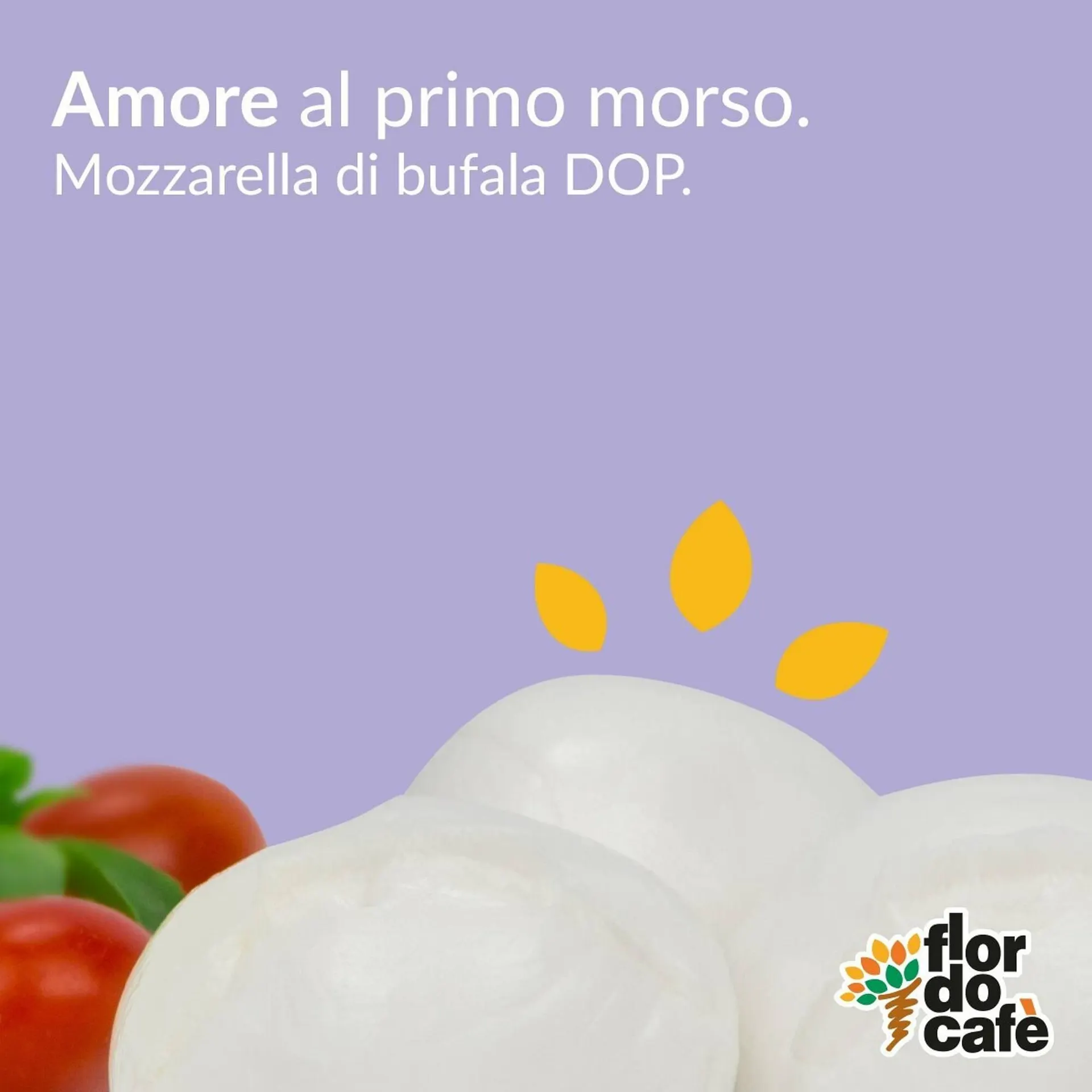 Volantino Flor do cafe - 1