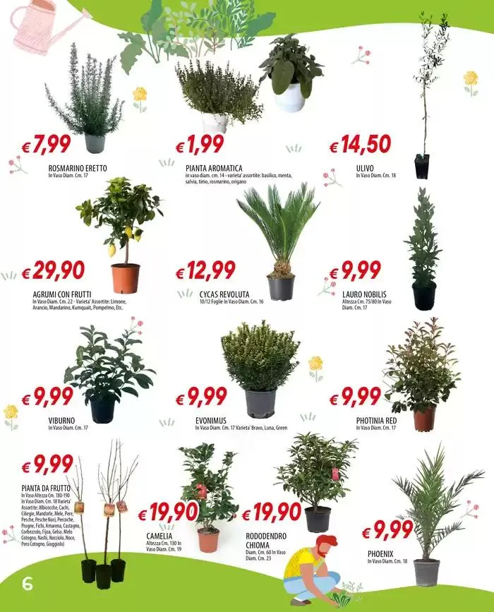 Tutto per il giardinaggio da 17 marzo a 6 aprile di 2025 - Pagina del volantino 6