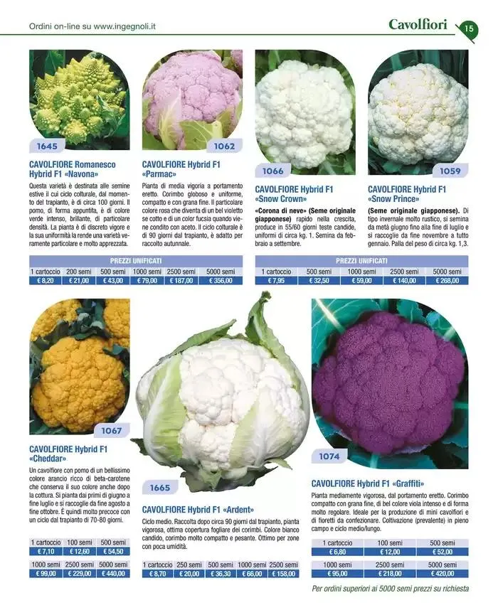 Catalogo guida 2025 da 20 gennaio a 31 dicembre di 2025 - Pagina del volantino 17