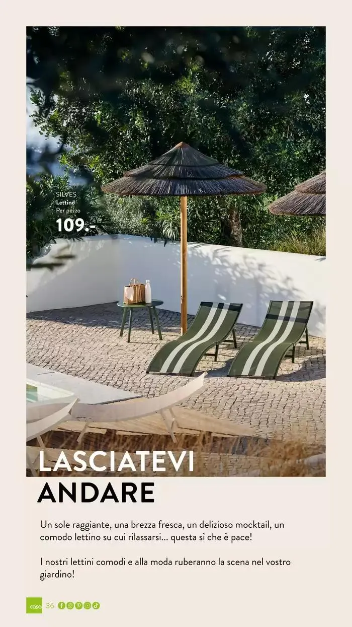 Collezione giardino 2025 da 3 marzo a 30 settembre di 2025 - Pagina del volantino 36