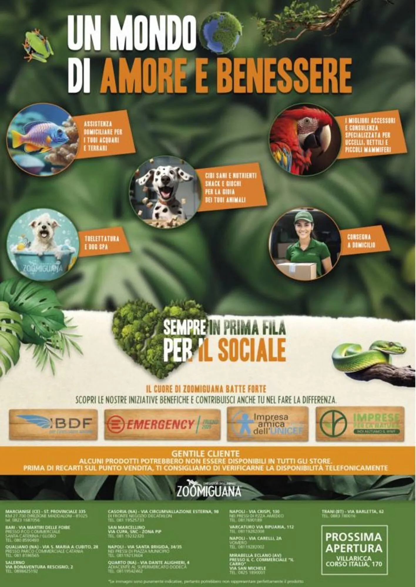 Volantino Zoomiguana da 7 maggio a 31 maggio di 2026 - Pagina del volantino 12