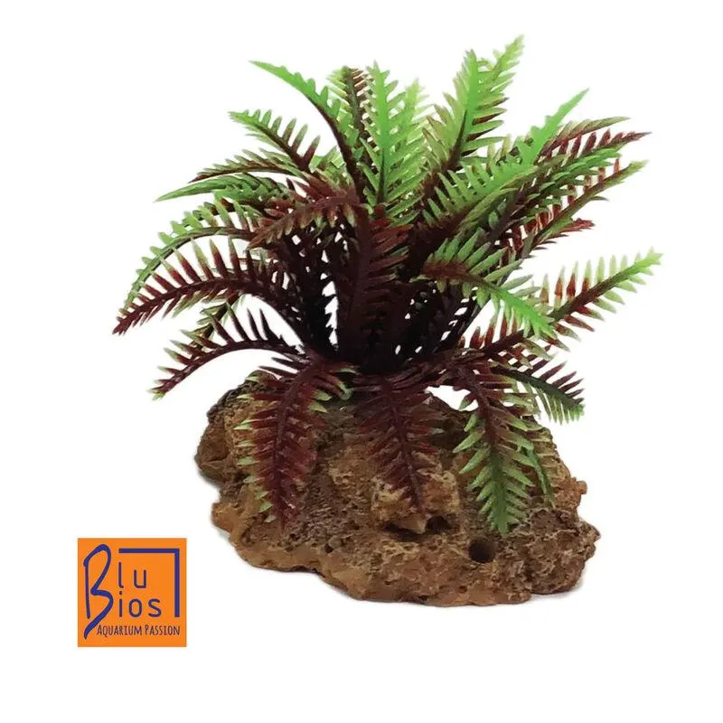 Blu Bios Dekor Felce Rossa