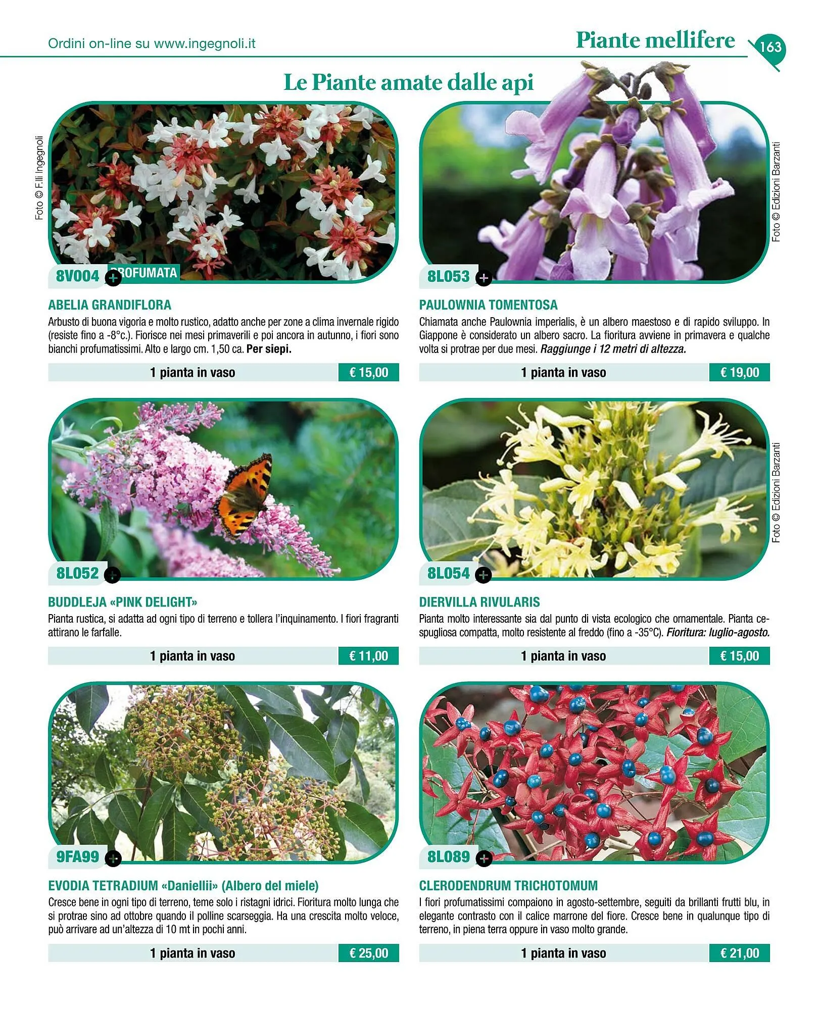 Volantino Ingegnoli da 4 novembre a 31 dicembre di 2025 - Pagina del volantino 165