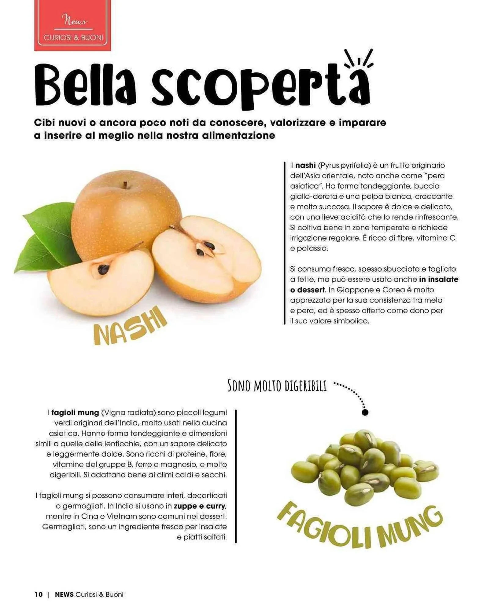 Volantino A&O da 1 settembre a 31 ottobre di 2025 - Pagina del volantino 11