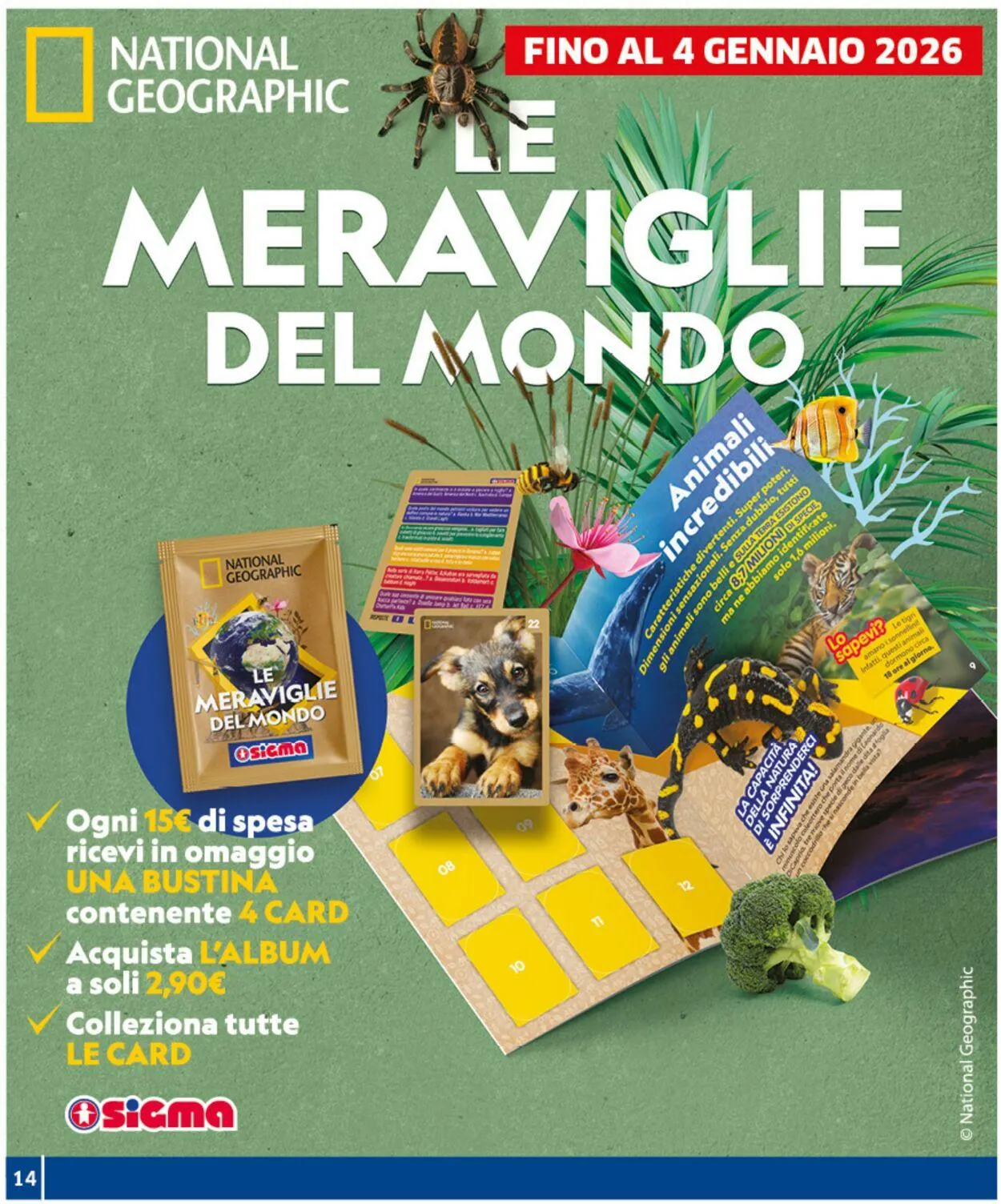 Sigma - Roma Volantino attuale da 7 novembre a 17 novembre di 2025 - Pagina del volantino 14