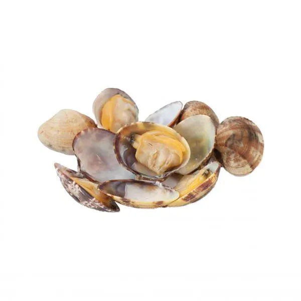 Vongole del Pacifico con Guscio 1 kg