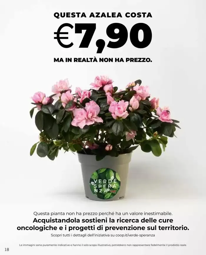 Buona Pasqua da 10 aprile a 22 aprile di 2025 - Pagina del volantino 18