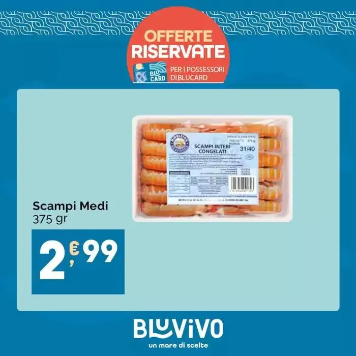 Offerte BluVivo - 1