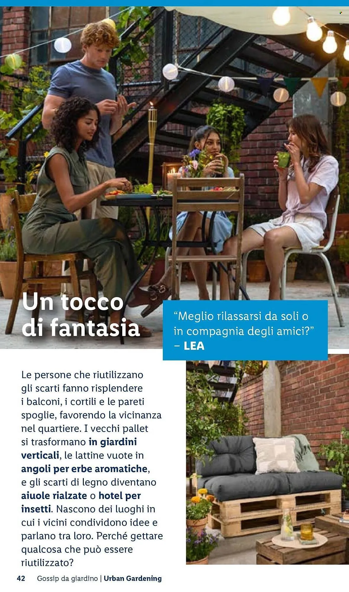 Volantino Lidl da 22 aprile a 30 aprile di 2026 - Pagina del volantino 42