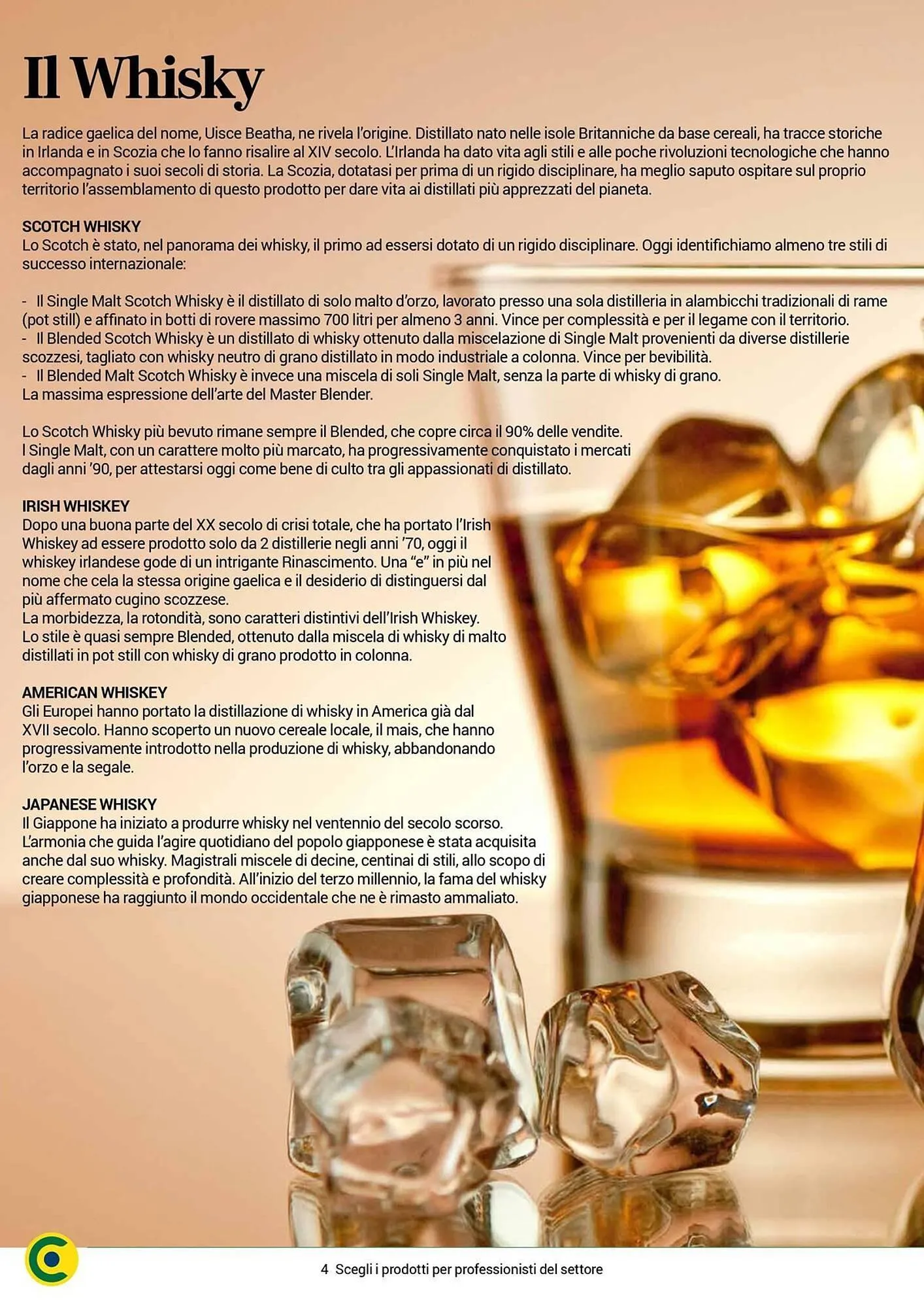 Volantino Centro Cash da 24 luglio a 31 dicembre di 2025 - Pagina del volantino 4