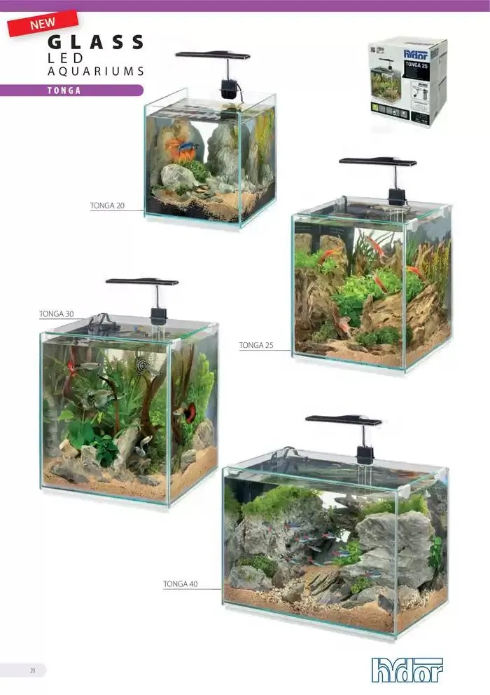 Ferplast da 13 dicembre a 31 dicembre di 2026 - Pagina del volantino 21