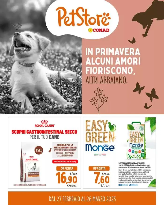 In primavera alcuni amori fioriscono, altri abbaiano. - 1