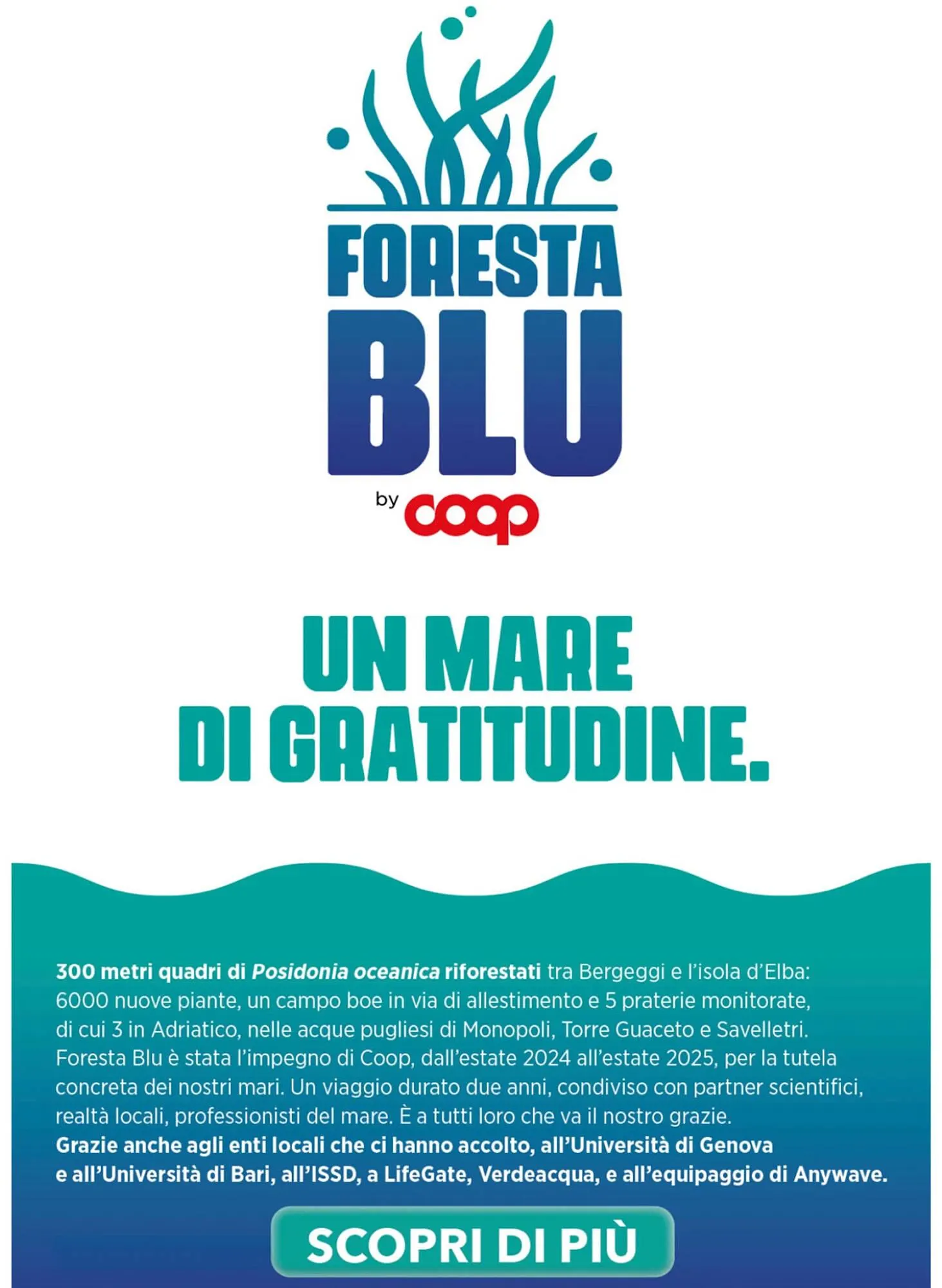 Volantino Ipercoop da 1 dicembre a 31 dicembre di 2025 - Pagina del volantino 21