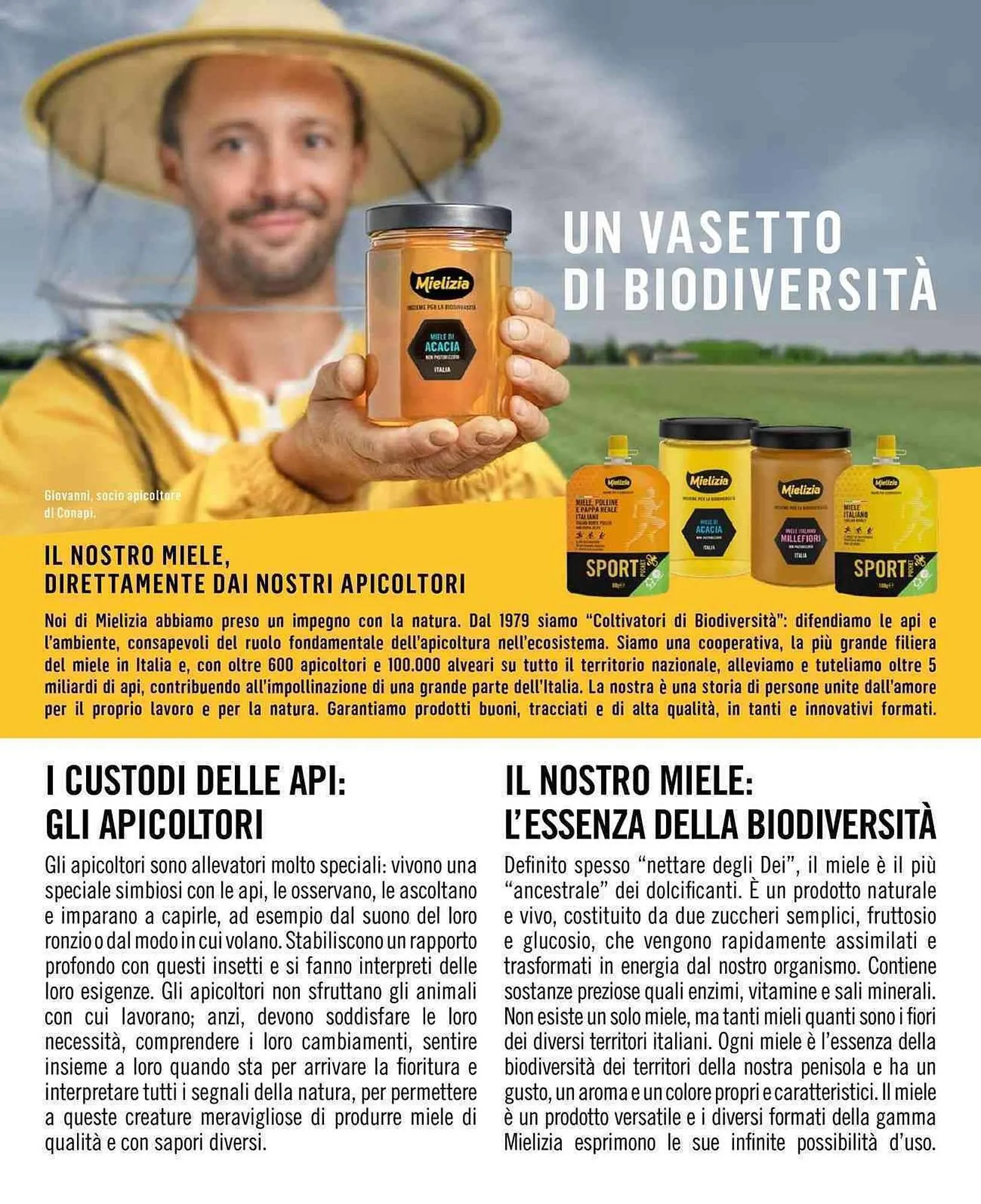 Volantino A&O da 1 settembre a 31 ottobre di 2025 - Pagina del volantino 13