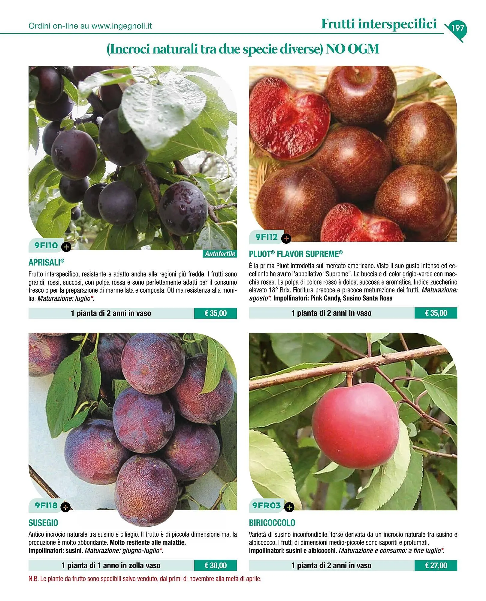 Volantino Ingegnoli da 4 novembre a 31 dicembre di 2025 - Pagina del volantino 199