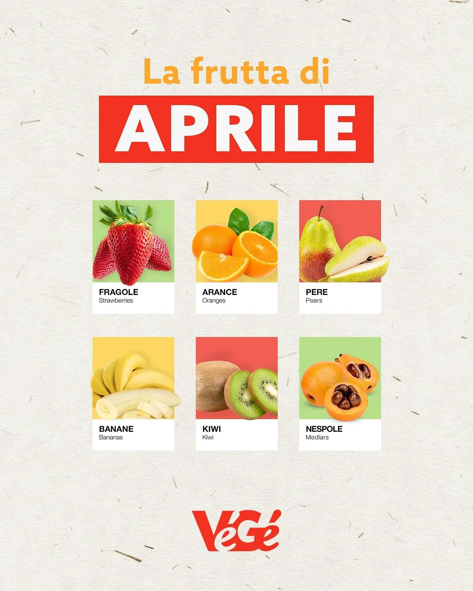 Volantino Gruppo VéGé - 1