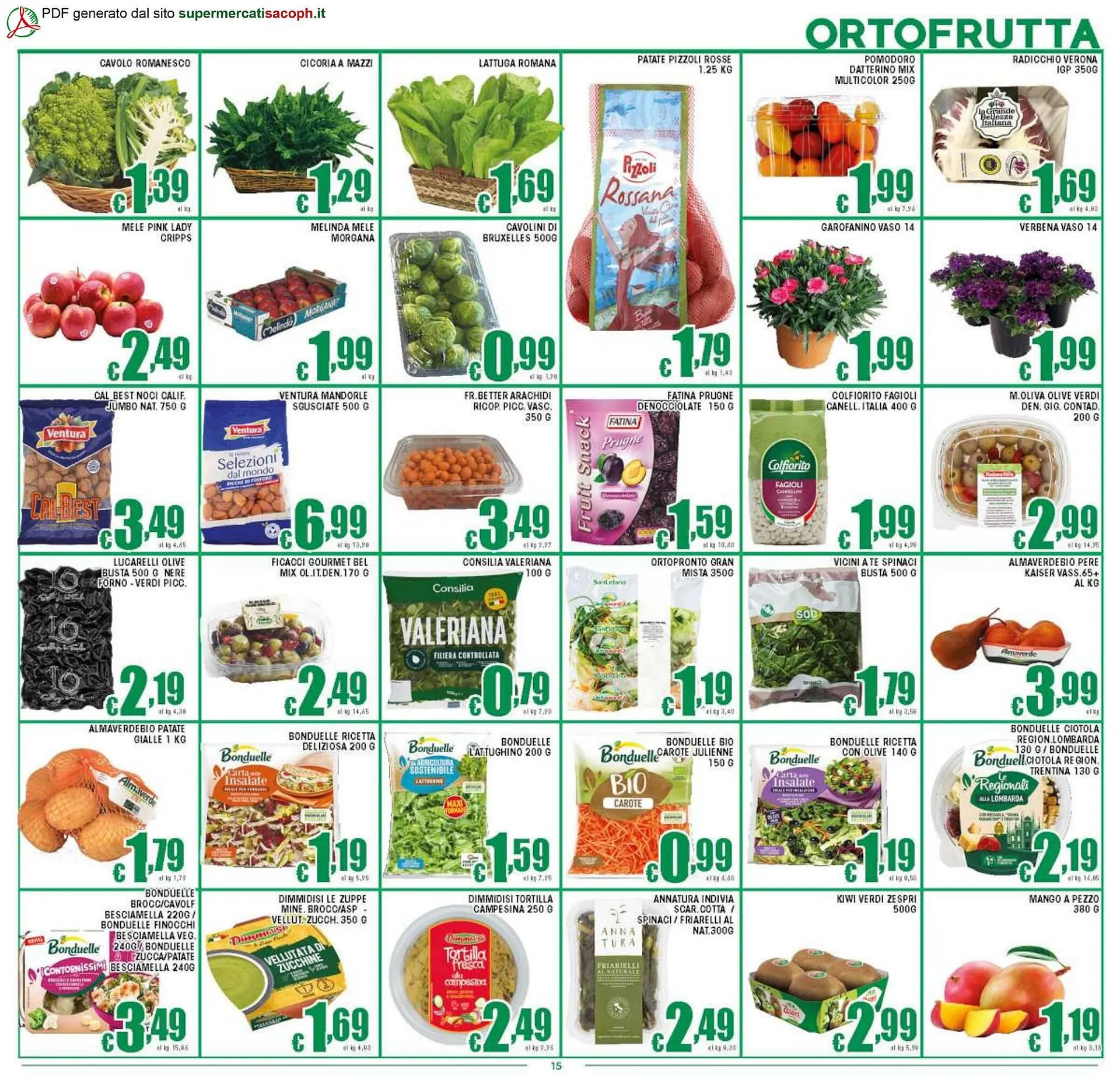 Volantino Sacoph da 17 marzo a 26 marzo di 2026 - Pagina del volantino 15