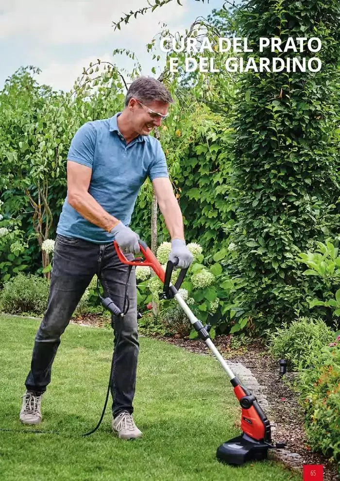 Giardinaggio 2025 da 11 febbraio a 31 dicembre di 2025 - Pagina del volantino 65