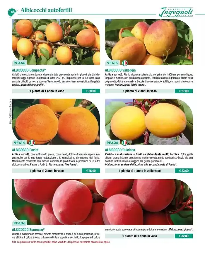 Catalogo guida 2025 da 20 gennaio a 31 dicembre di 2025 - Pagina del volantino 170