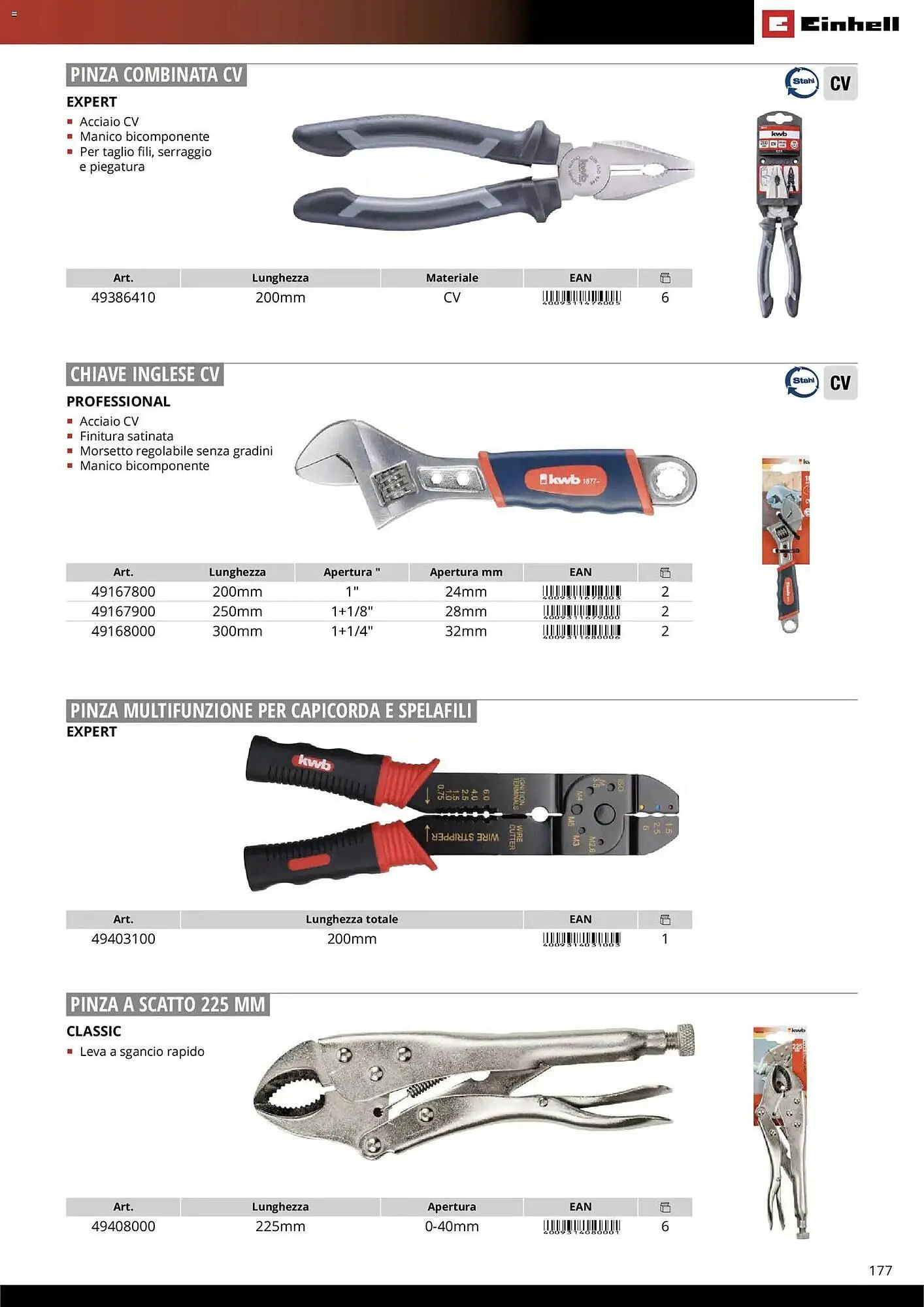 Volantino Einhell da 17 marzo a 31 dicembre di 2026 - Pagina del volantino 179