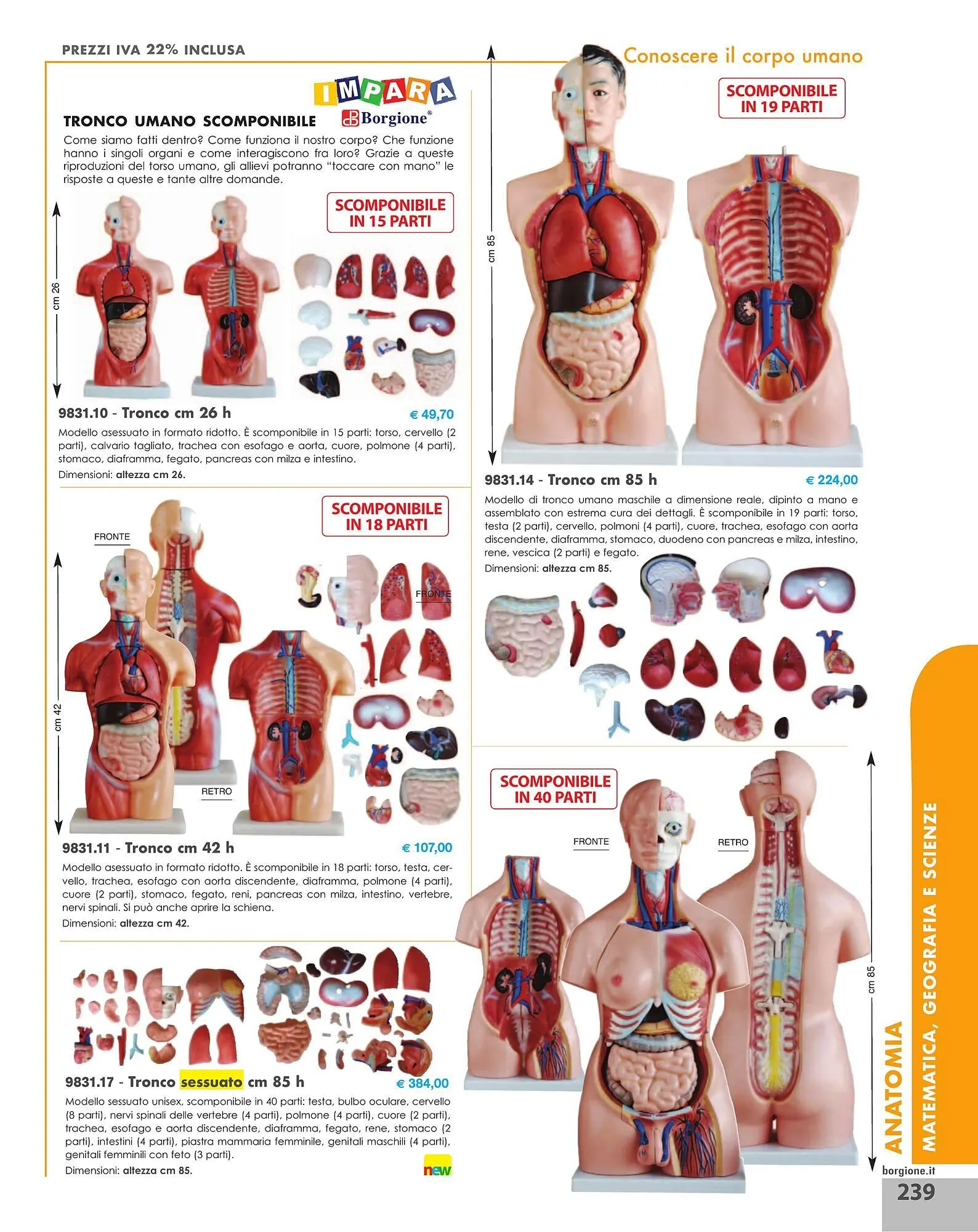Volantino Borgione Sport da 31 dicembre a 31 dicembre di 2025 - Pagina del volantino 239