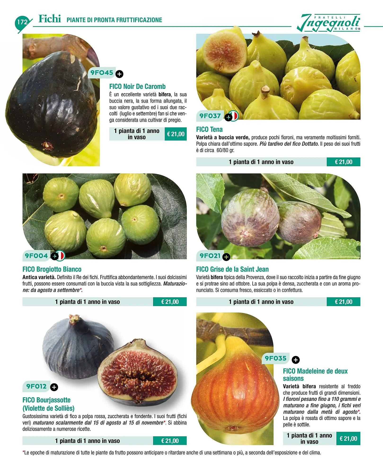 Volantino Ingegnoli da 4 novembre a 31 dicembre di 2025 - Pagina del volantino 174