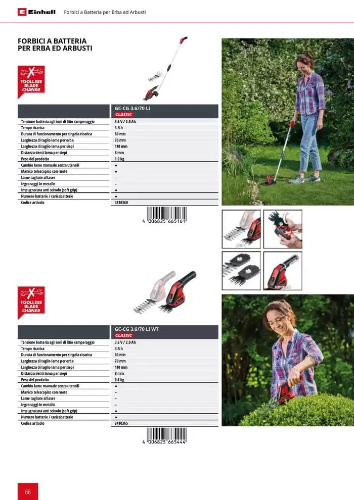 Giardinaggio 2025 da 11 febbraio a 31 dicembre di 2025 - Pagina del volantino 66