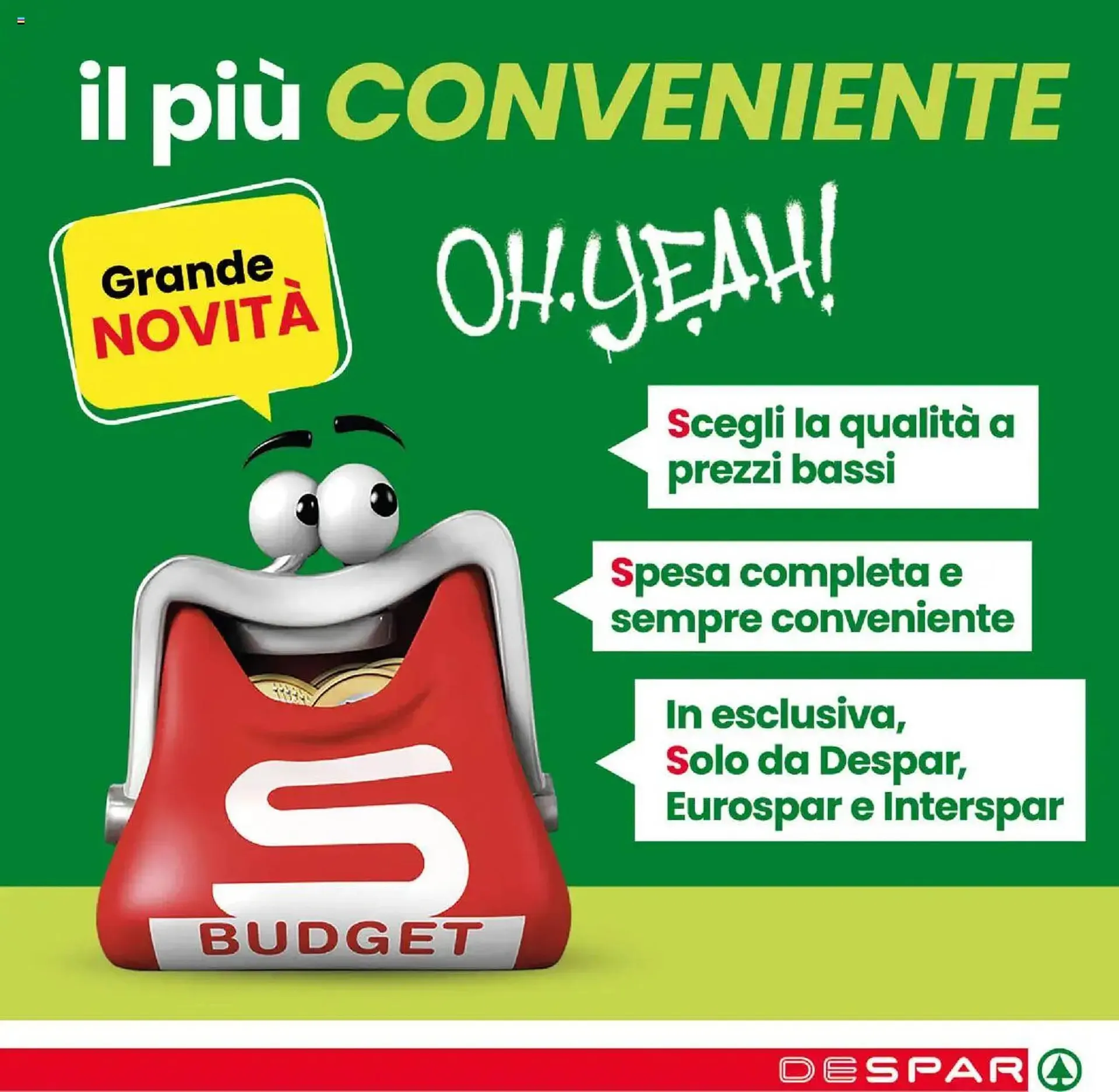 Volantino Despar da 15 maggio a 25 maggio di 2025 - Pagina del volantino 55
