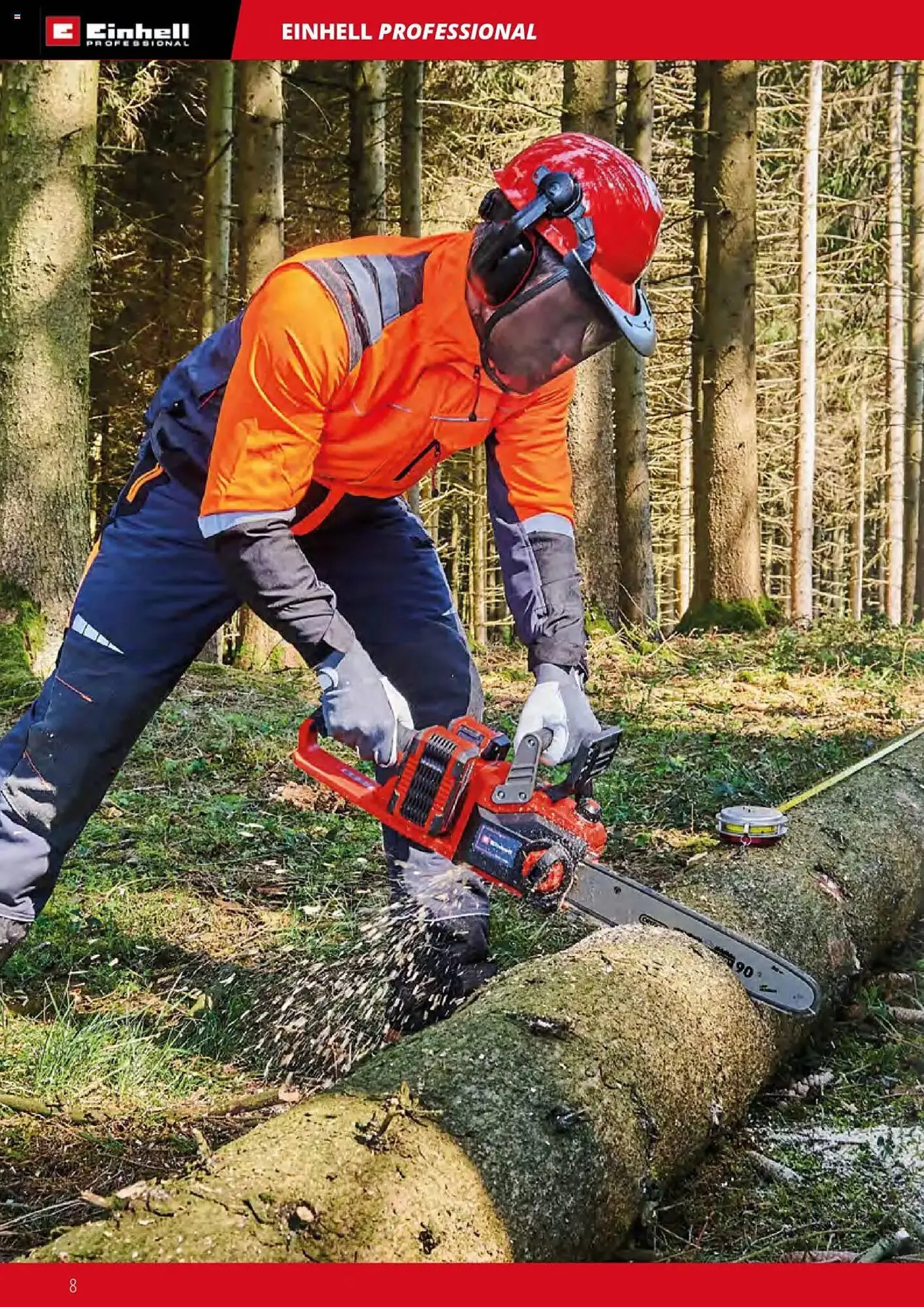 Volantino Einhell da 1 febbraio a 31 dicembre di 2025 - Pagina del volantino 8