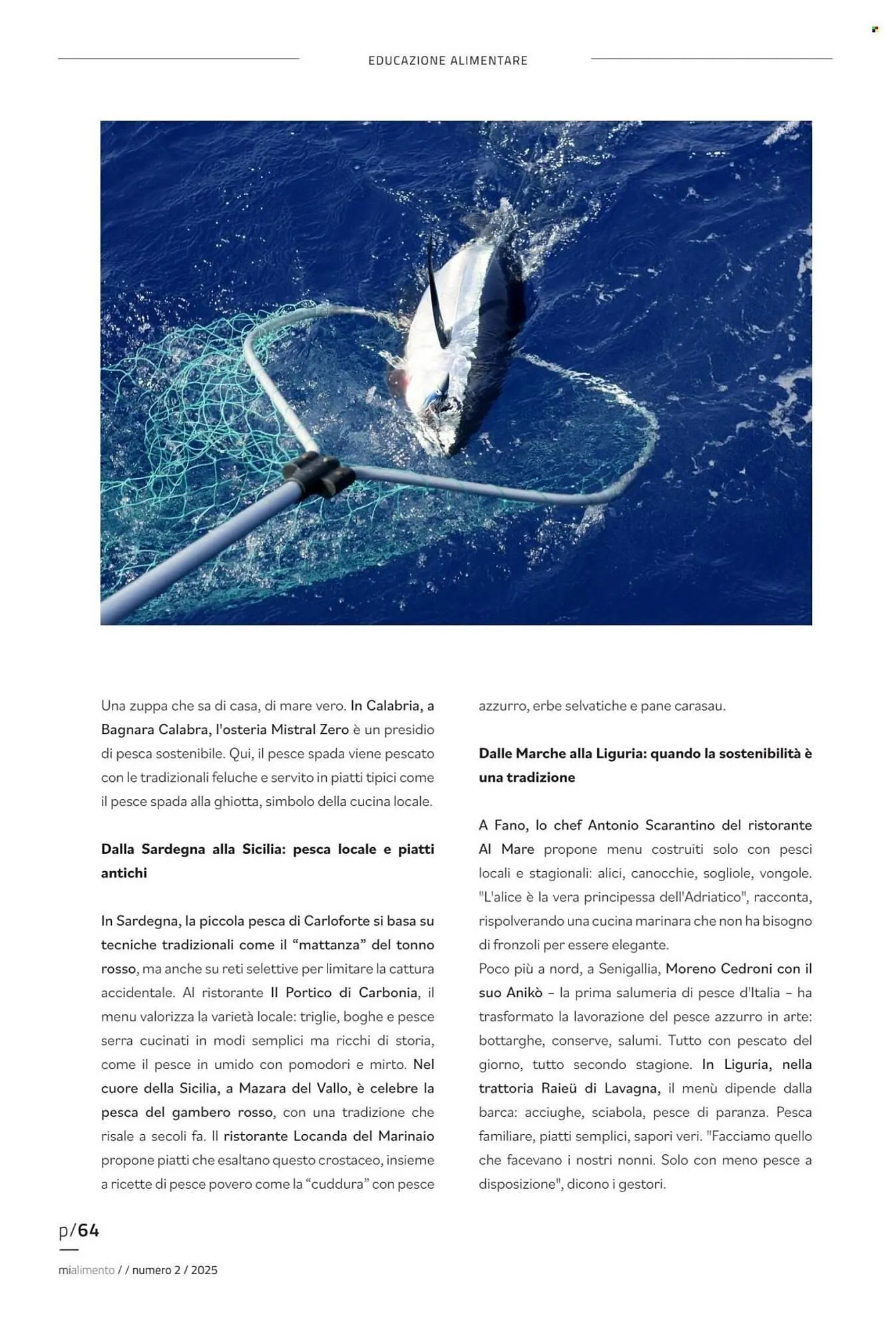 Volantino Coal da 27 luglio a 4 agosto di 2025 - Pagina del volantino 64