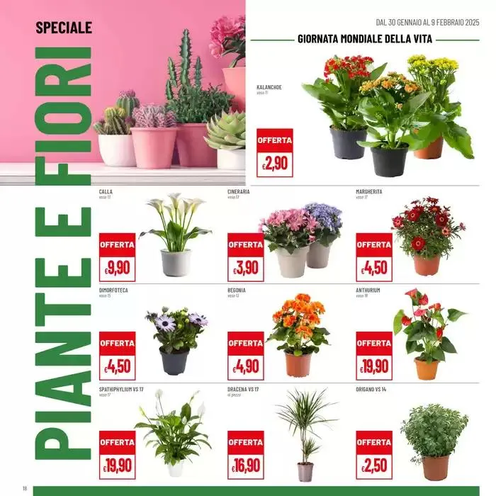Grandi marche sconti fino al 50% da 30 gennaio a 9 febbraio di 2025 - Pagina del volantino 18