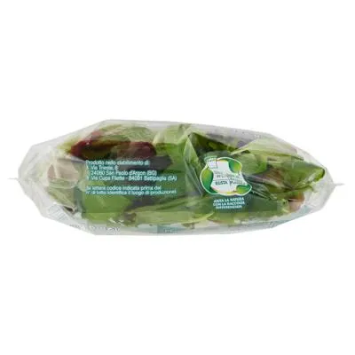 Bonduelle l'Insalata del Giorno 125 g