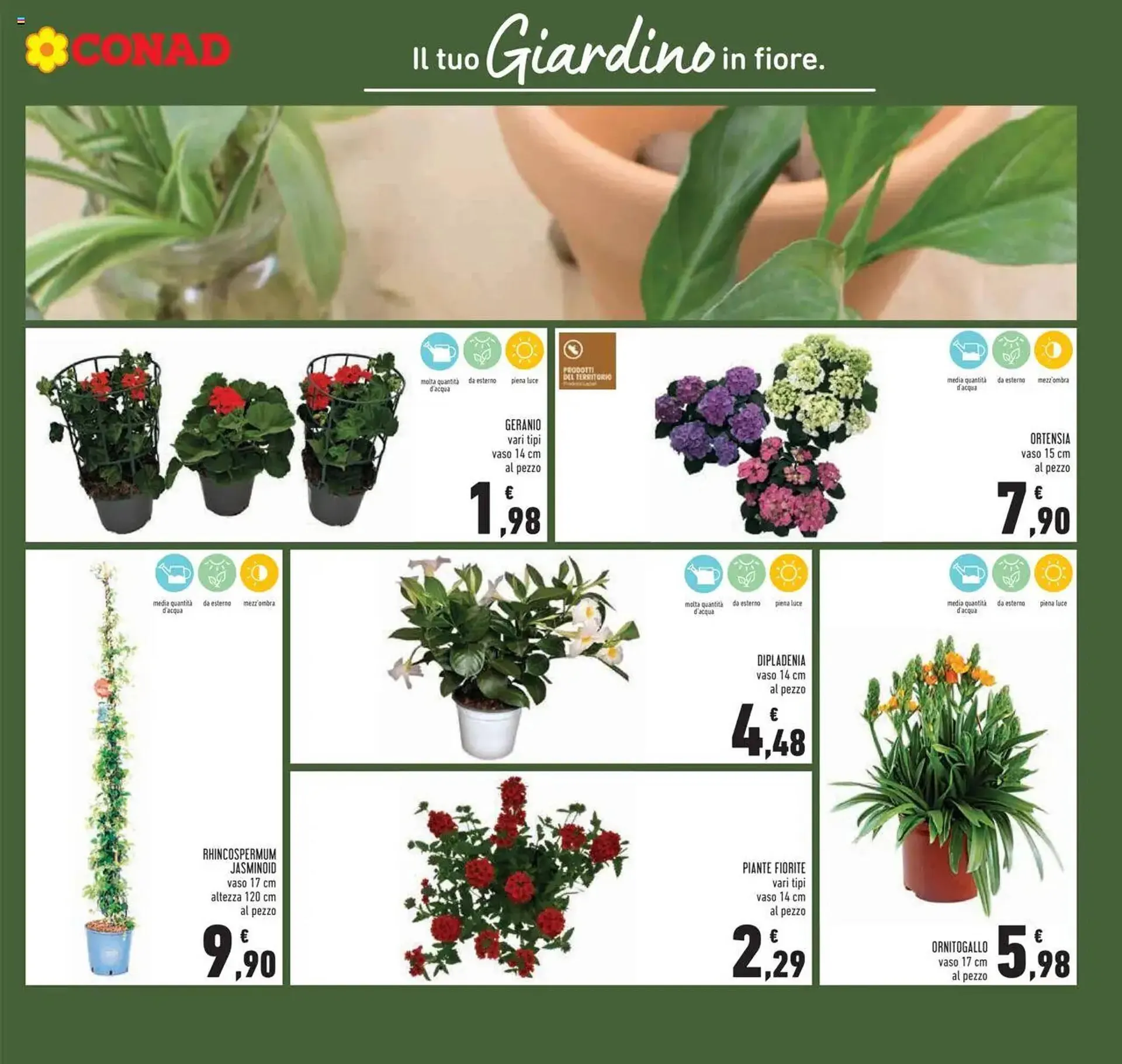 Volantino Conad da 26 marzo a 8 aprile di 2025 - Pagina del volantino 13