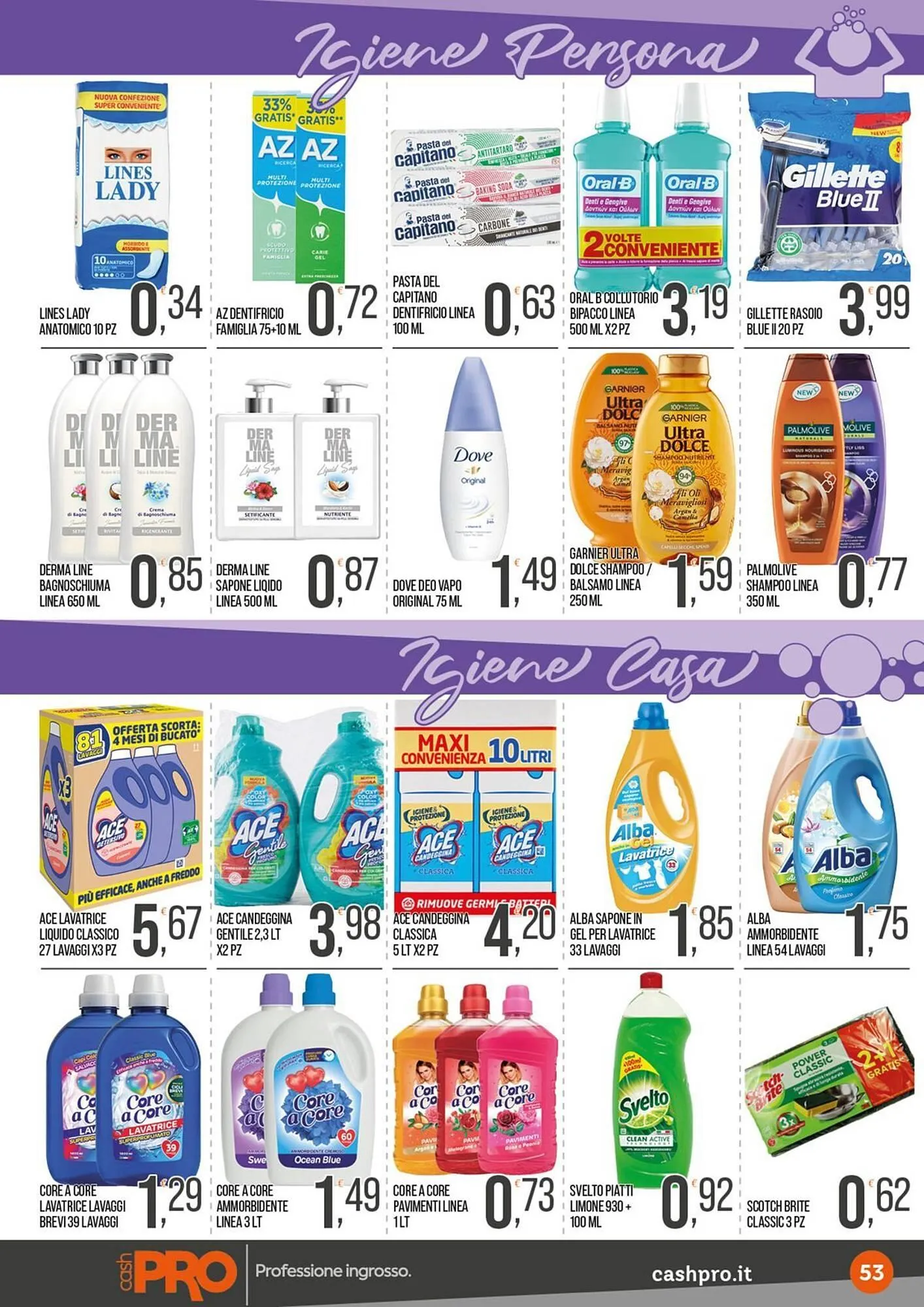 Volantino Cash pro da 15 dicembre a 24 dicembre di 2025 - Pagina del volantino 53