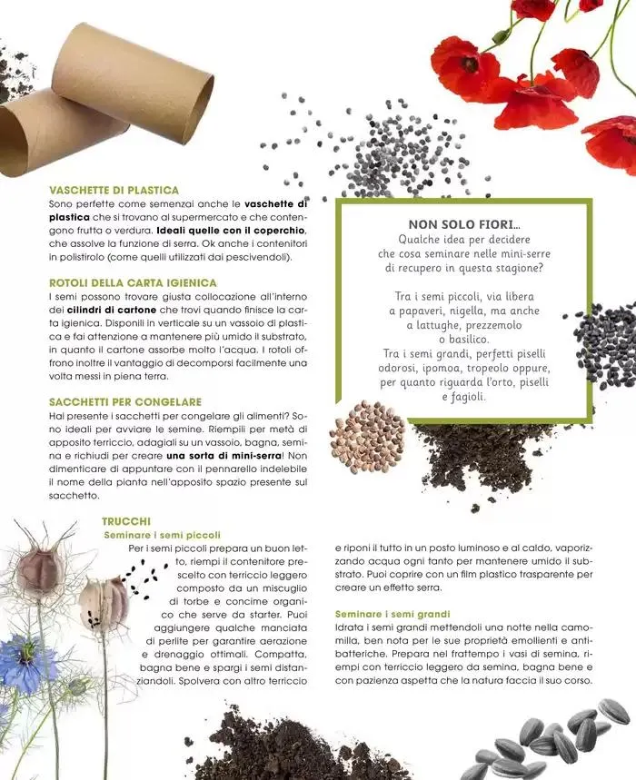 Catalogo A&O da 1 marzo a 30 aprile di 2025 - Pagina del volantino 36