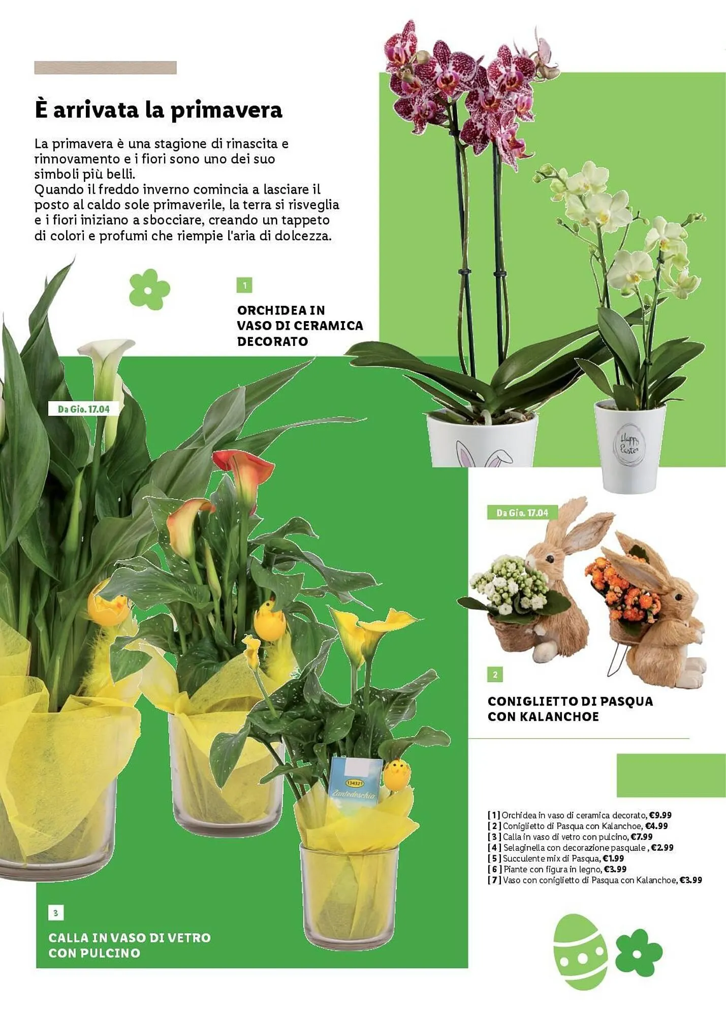 Volantino Lidl da 24 marzo a 20 aprile di 2025 - Pagina del volantino 46