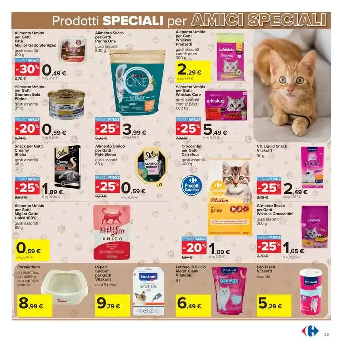 Sconti alla griglia da 1 maggio a 4 maggio di 2025 - Pagina del volantino 29