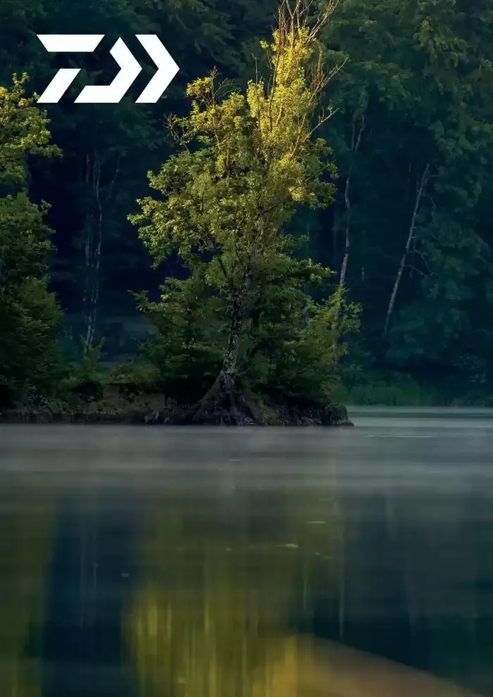 Catalogo 2025 da 4 febbraio a 31 dicembre di 2025 - Pagina del volantino 144