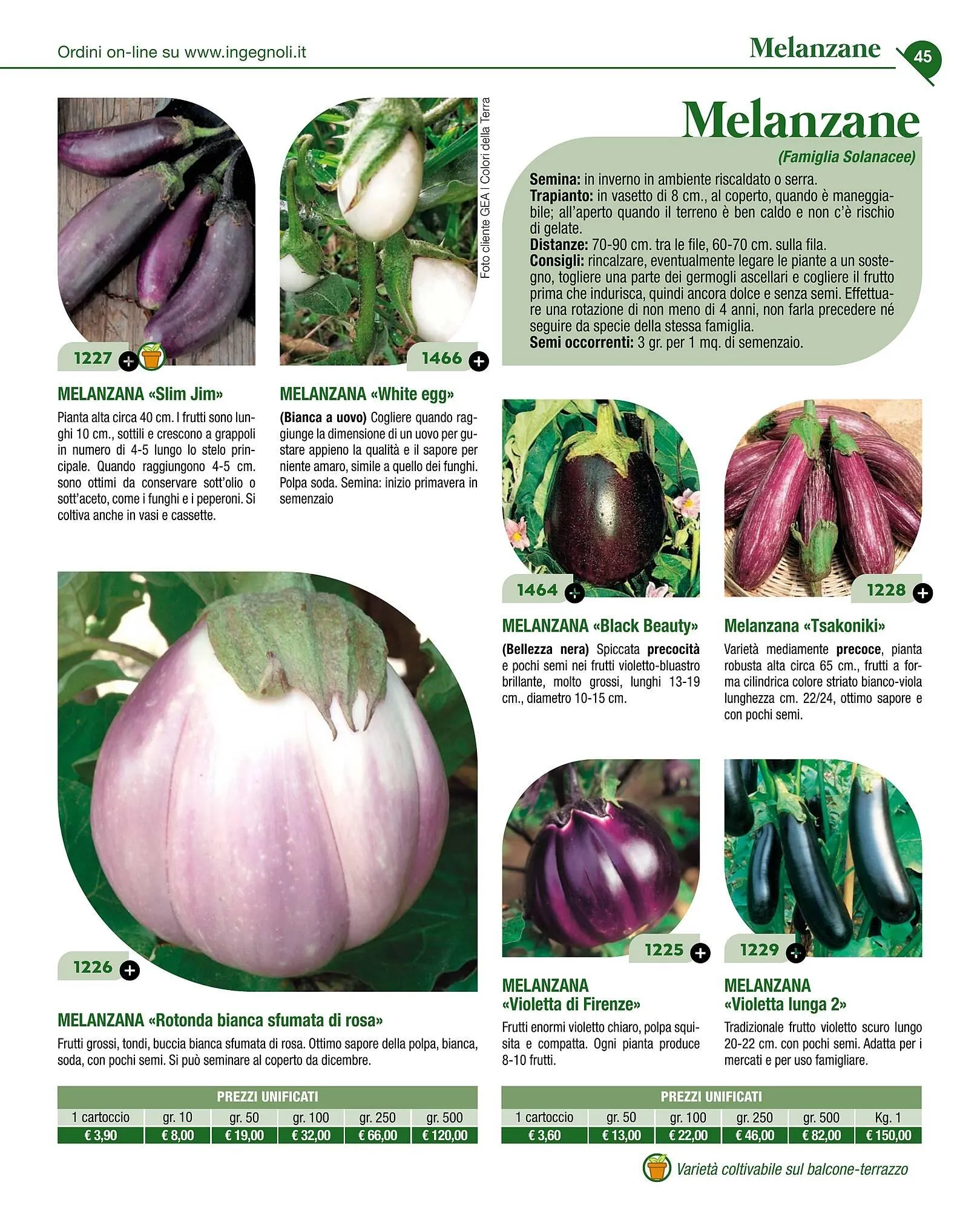 Volantino Ingegnoli da 4 novembre a 31 dicembre di 2025 - Pagina del volantino 47