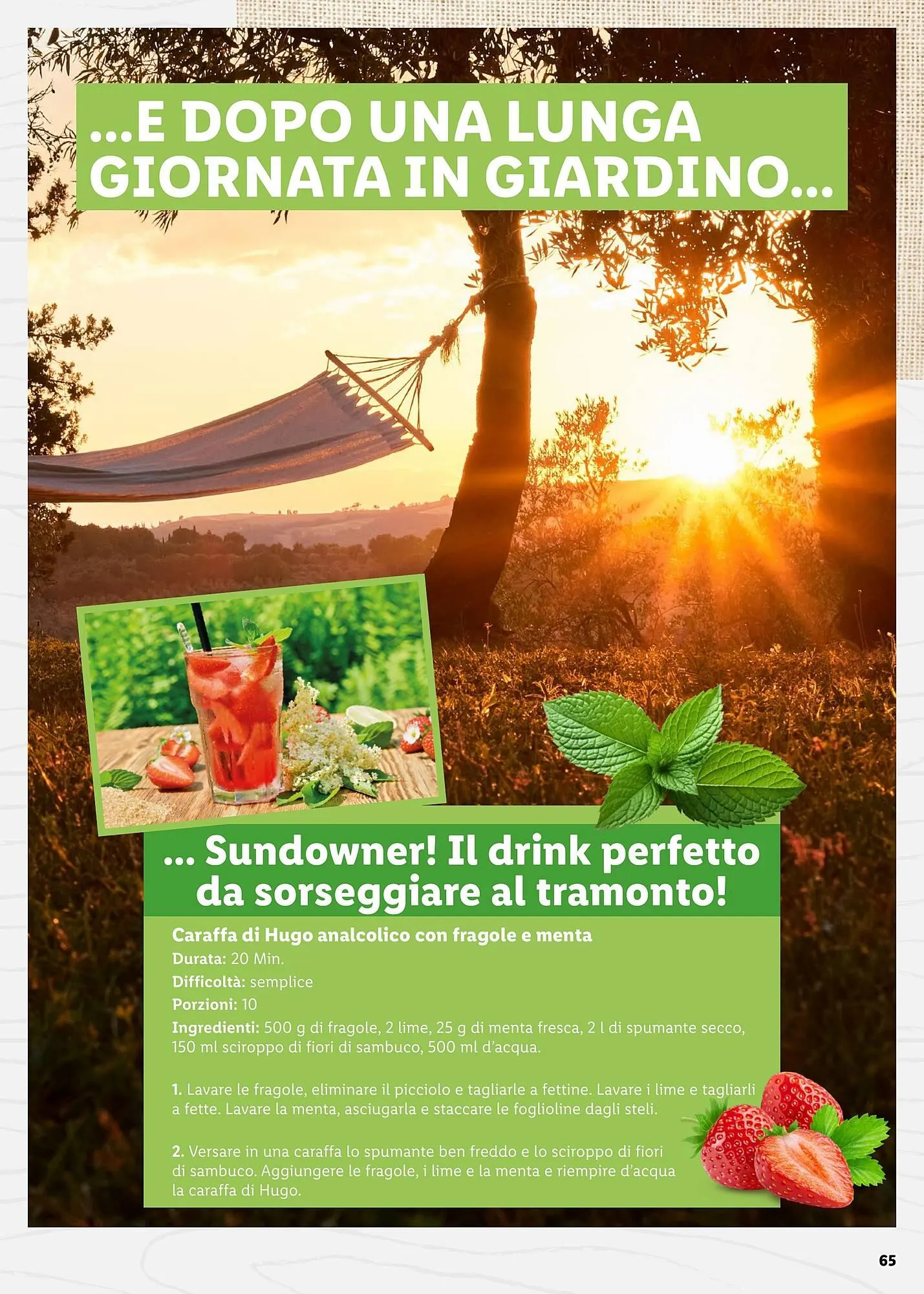 Volantino Lidl da 4 aprile a 31 maggio di 2025 - Pagina del volantino 65