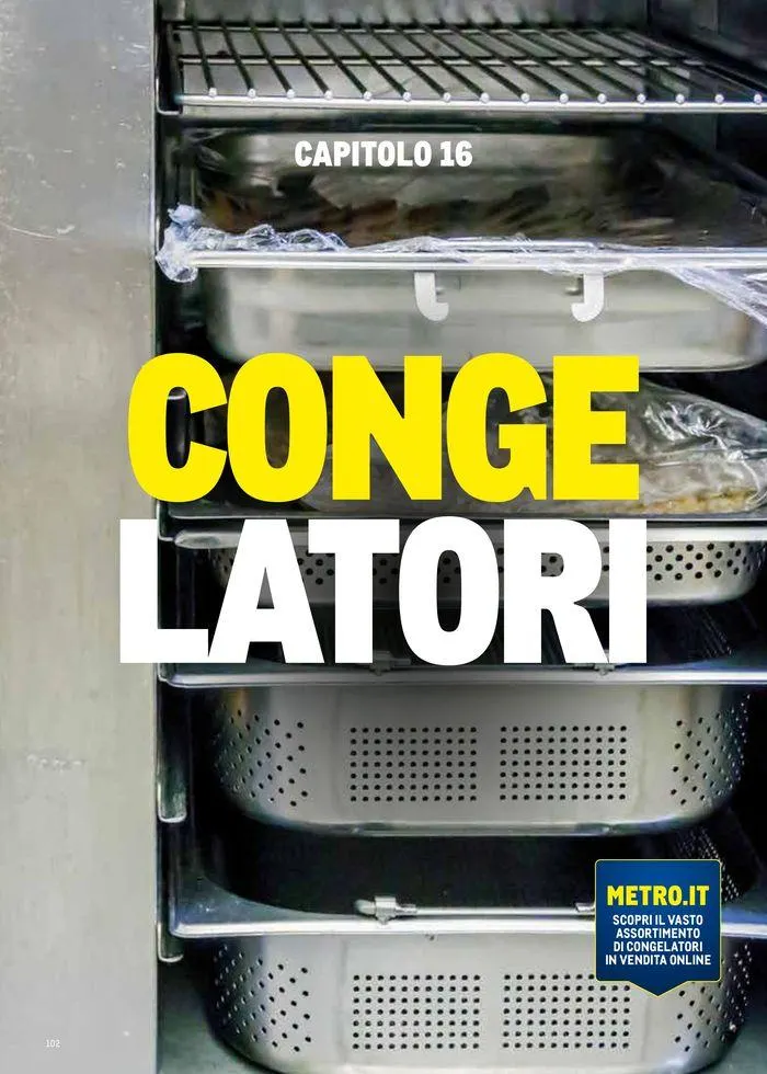 Catalogo Surgelati 2024 da 21 maggio a 31 maggio di 2025 - Pagina del volantino 102