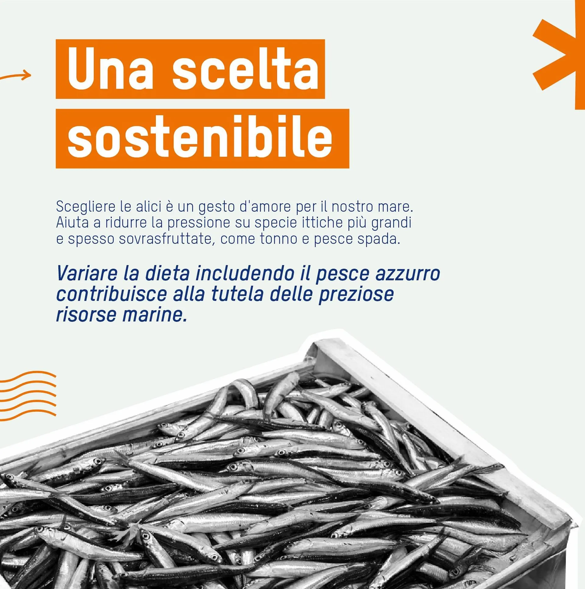 volantino Sole 365 da 2 settembre a 14 settembre di 2025 - Pagina del volantino 4
