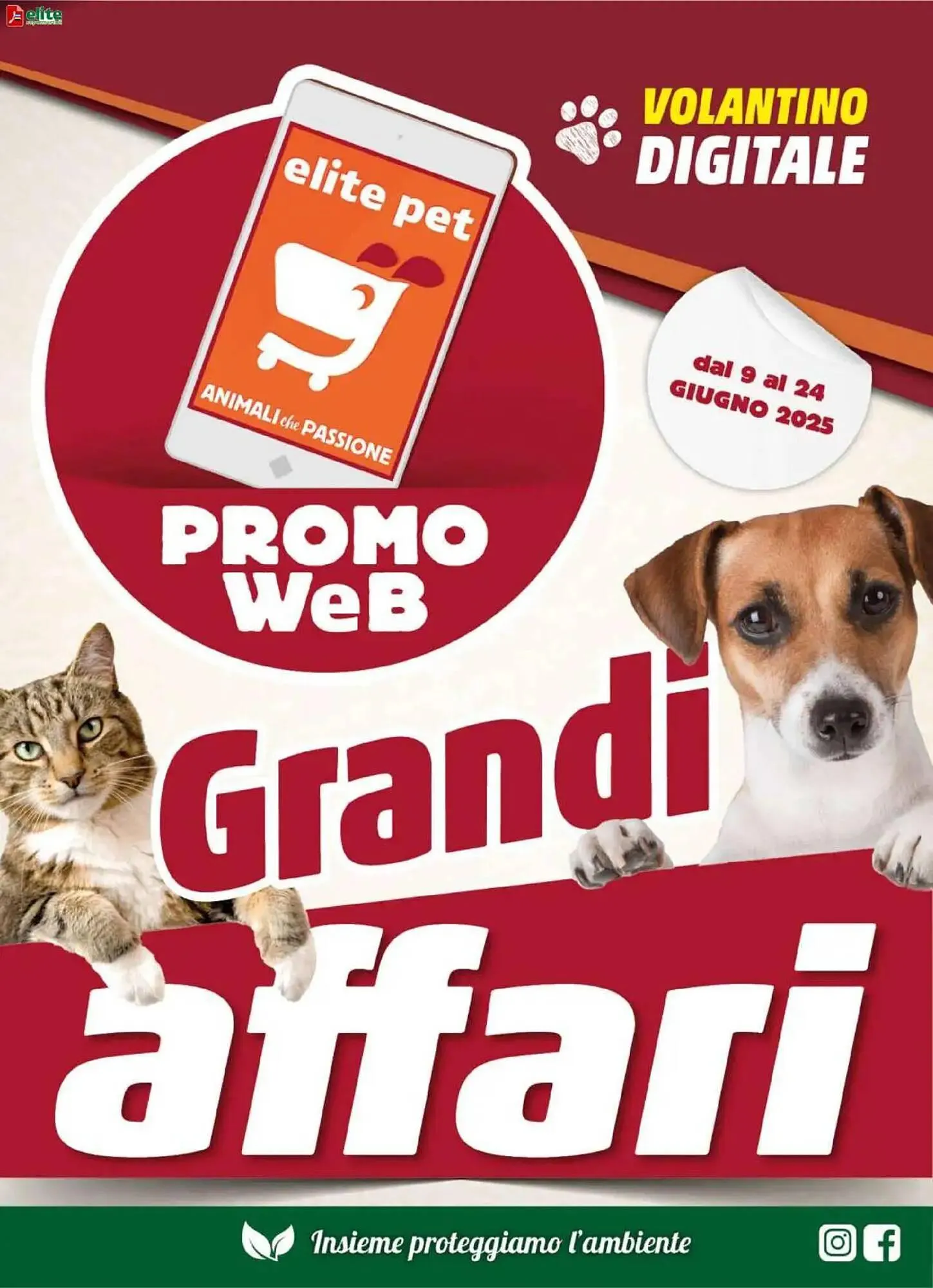 Volantino Elite Pet - 1