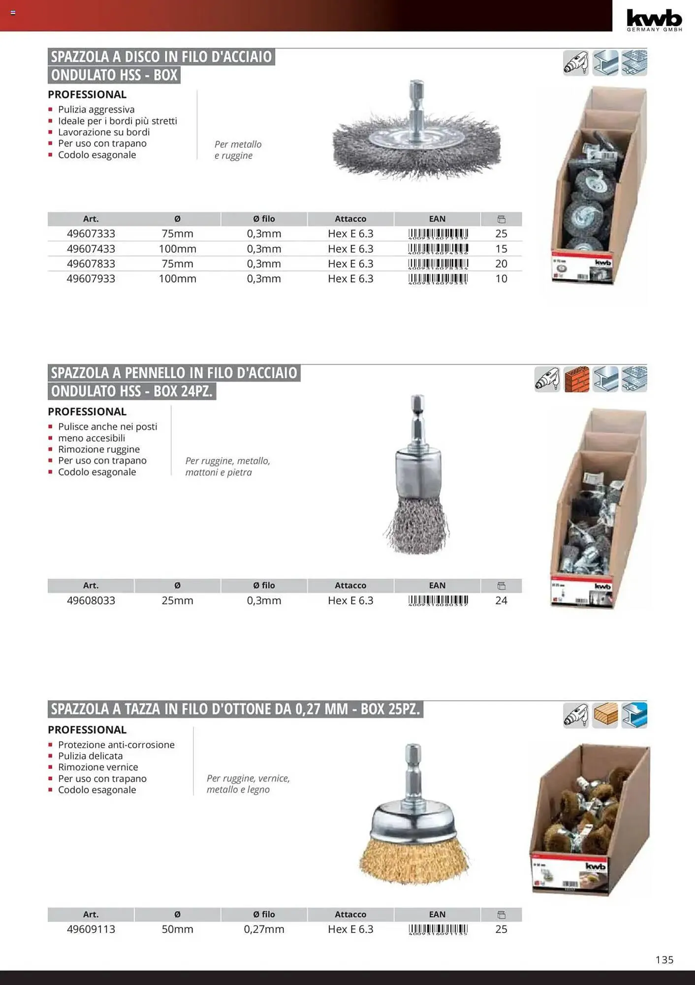 Volantino Einhell da 6 febbraio a 6 febbraio di 2026 - Pagina del volantino 137