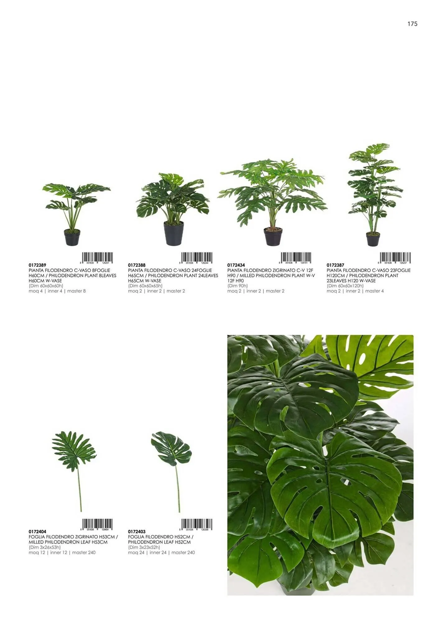 Volantino Bizzotto da 20 settembre a 28 dicembre di 2024 - Pagina del volantino 177