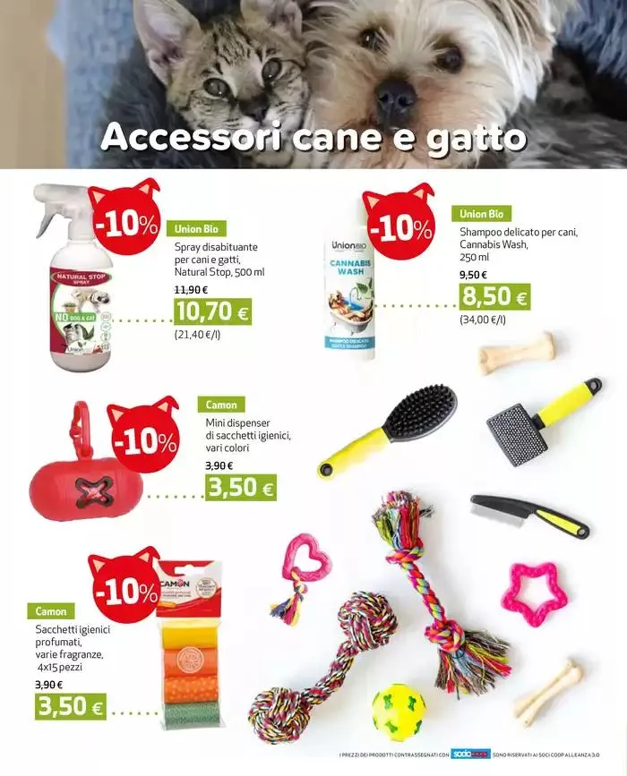 Speciale abbigliamento da 27 febbraio a 26 marzo di 2025 - Pagina del volantino 8