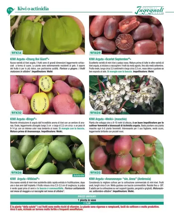 Catalogo guida 2025 da 20 gennaio a 31 dicembre di 2025 - Pagina del volantino 178