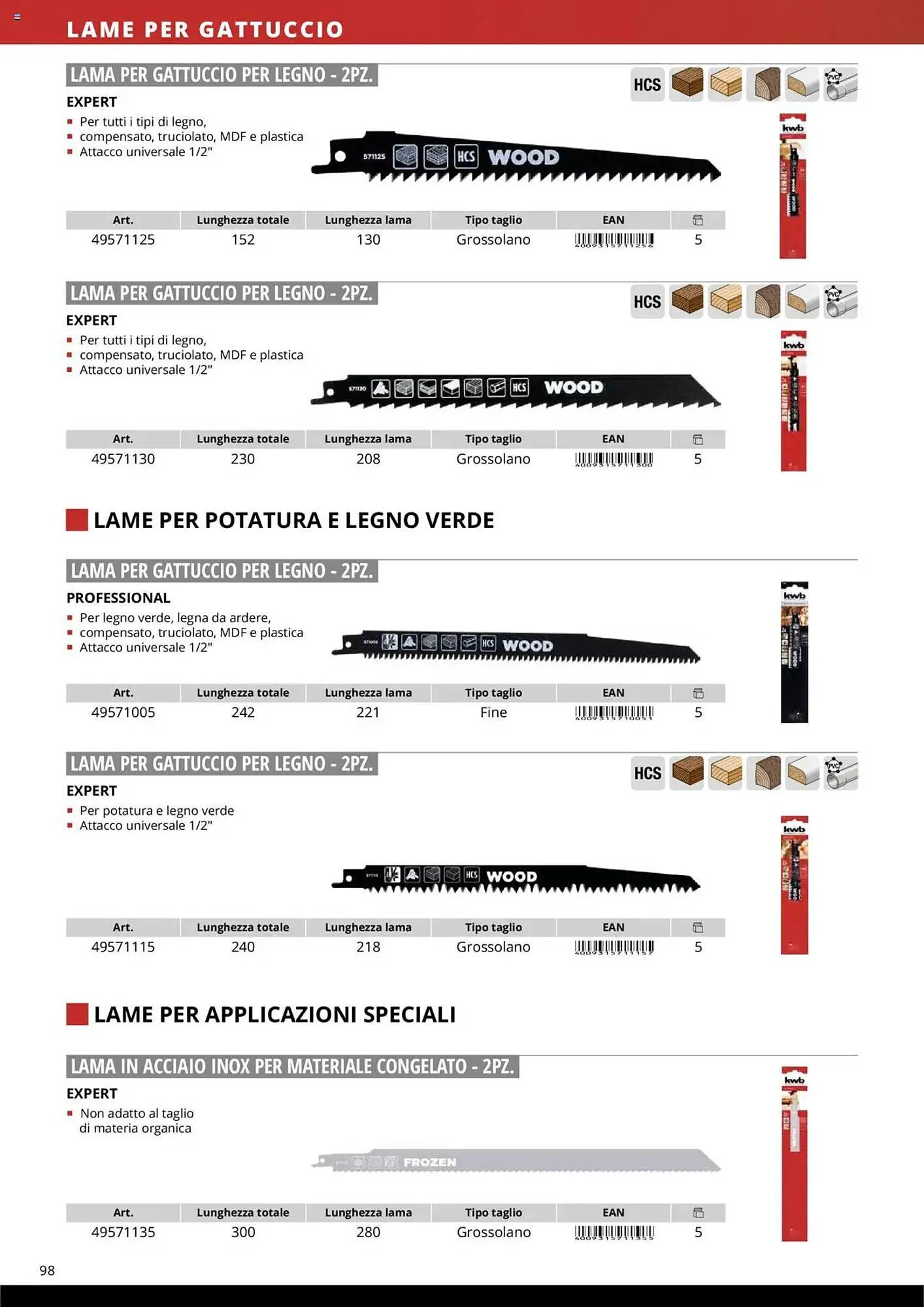 Volantino Einhell da 10 ottobre a 31 dicembre di 2025 - Pagina del volantino 100